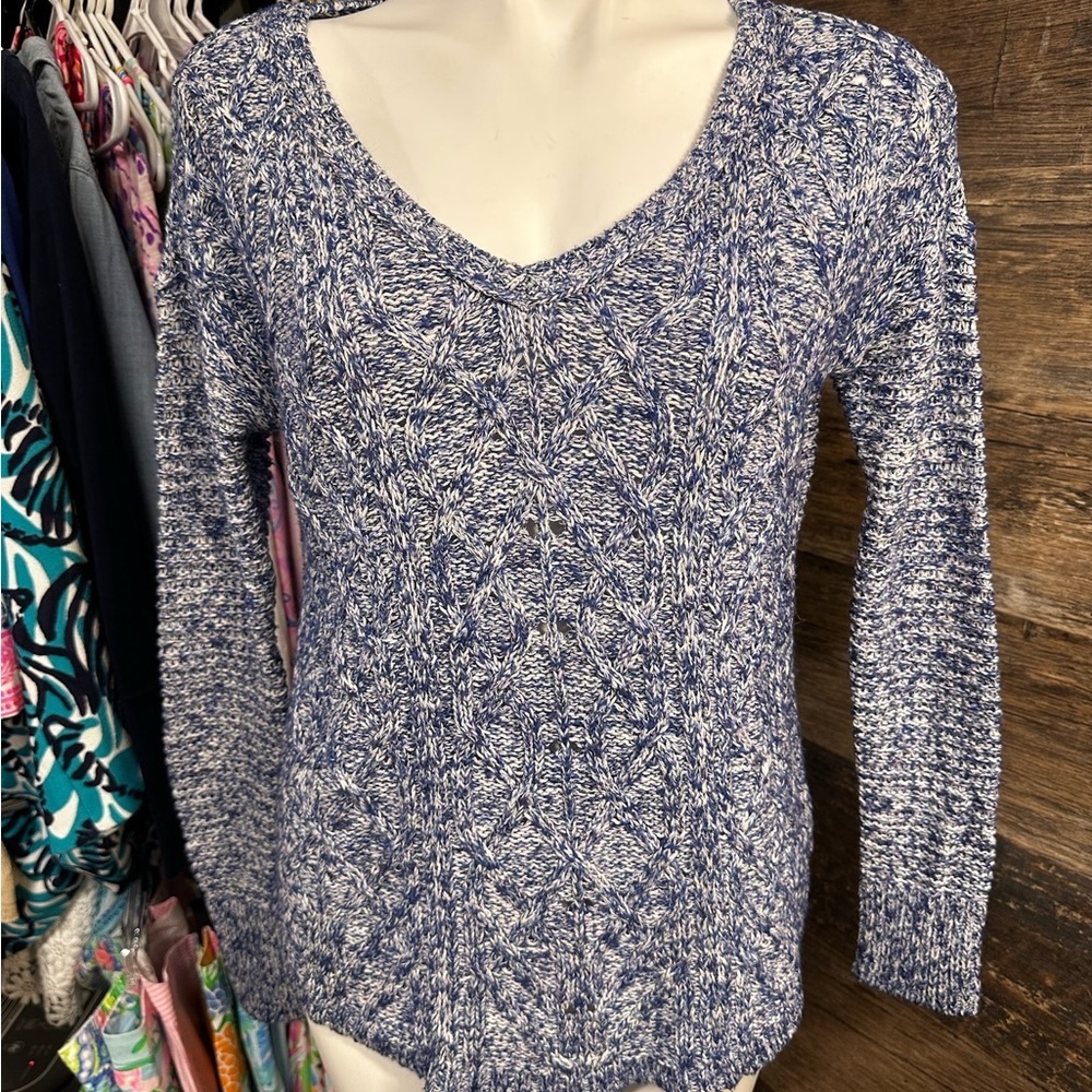 American Eagle‎ Outfitters V-Neck Sweater in Blue and White
